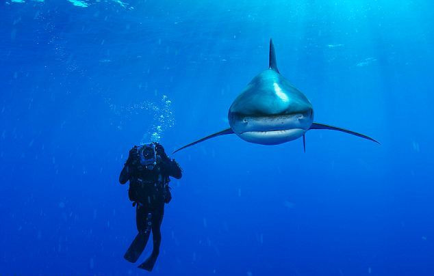 Φωτογράφιζαν φάλαινες από τη βάρκα τους, όταν ξαφνικά πάγωσε το χαμόγελό τους (βίντεο)